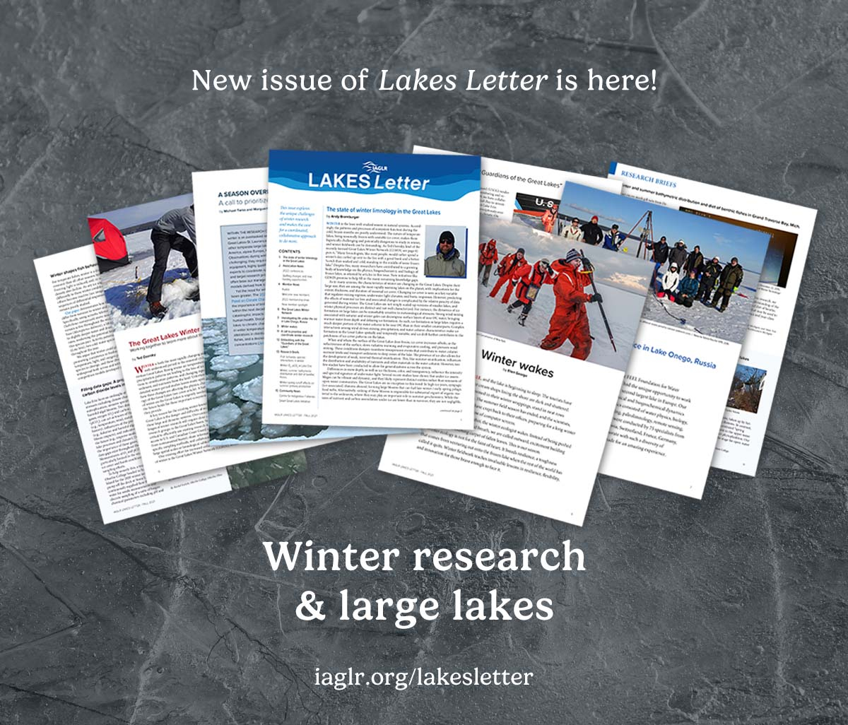 New Lakes Letter is out! Focuses on unique challenges / great need for #WinterResearch on large lakes. bit.ly/ll11fall Articles by <a href="/AlgaeBurger/">Andy Bramburger</a>, Ted Ozersky, Natacha Tofield-Pasche, <a href="/greatlakescisco/">Dr. Ellen George</a>, <a href="/MTwiss/">mtwiss@bsky.social</a>, Maggie Xenopoulos, <a href="/McKayGLIER/">Robert Michael McKay</a> #GreatLakes #GreatLakesSci