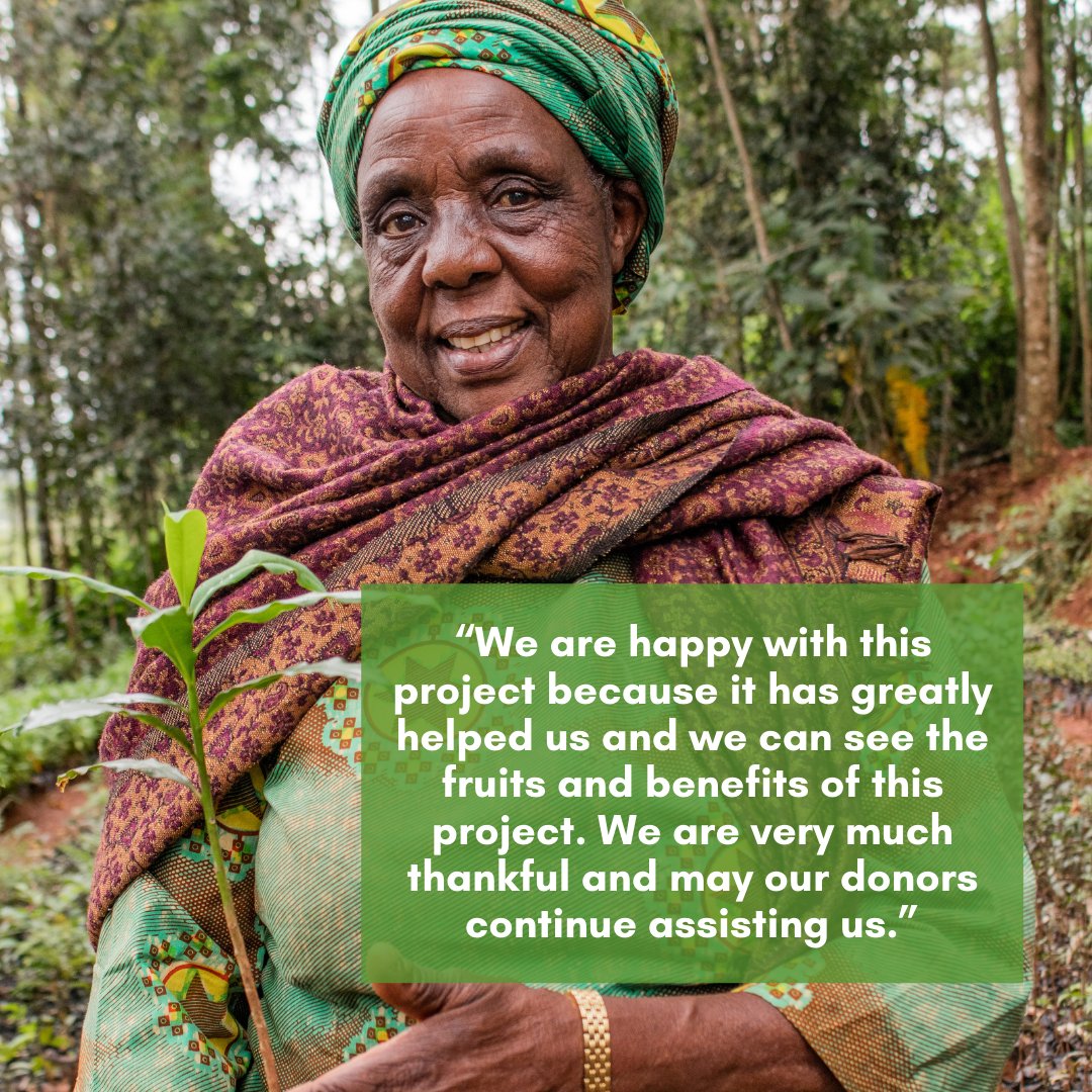 International Tree Foundation tweet media
