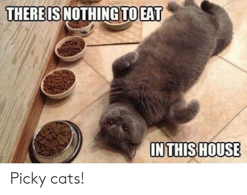 picky_pet tweet picture