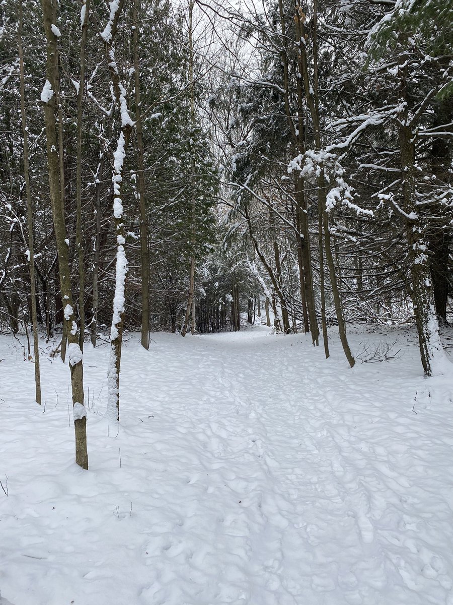 Edgecombe2John's tweet photo. Great morning for a trail run @YorkRegionGovt Davis Drive Tract; train shows importance of keeping supply chains open! https://t.co/mnEChp1ag7