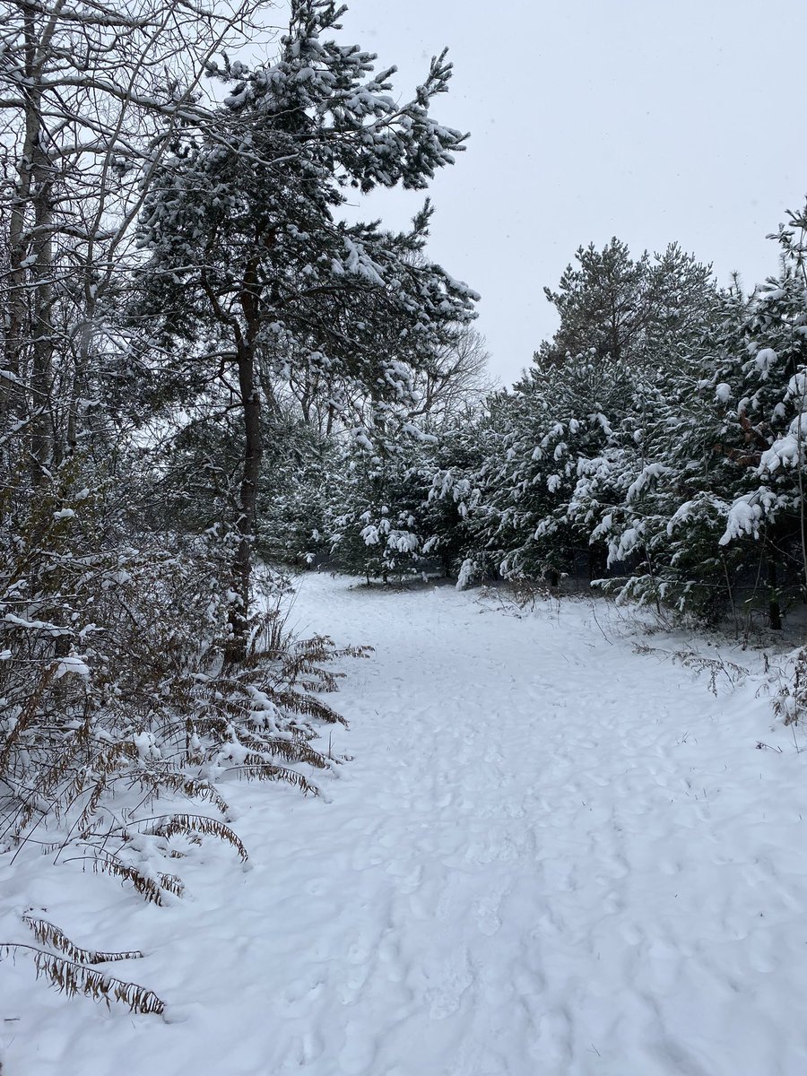 Edgecombe2John's tweet photo. Great morning for a trail run @YorkRegionGovt Davis Drive Tract; train shows importance of keeping supply chains open! https://t.co/mnEChp1ag7