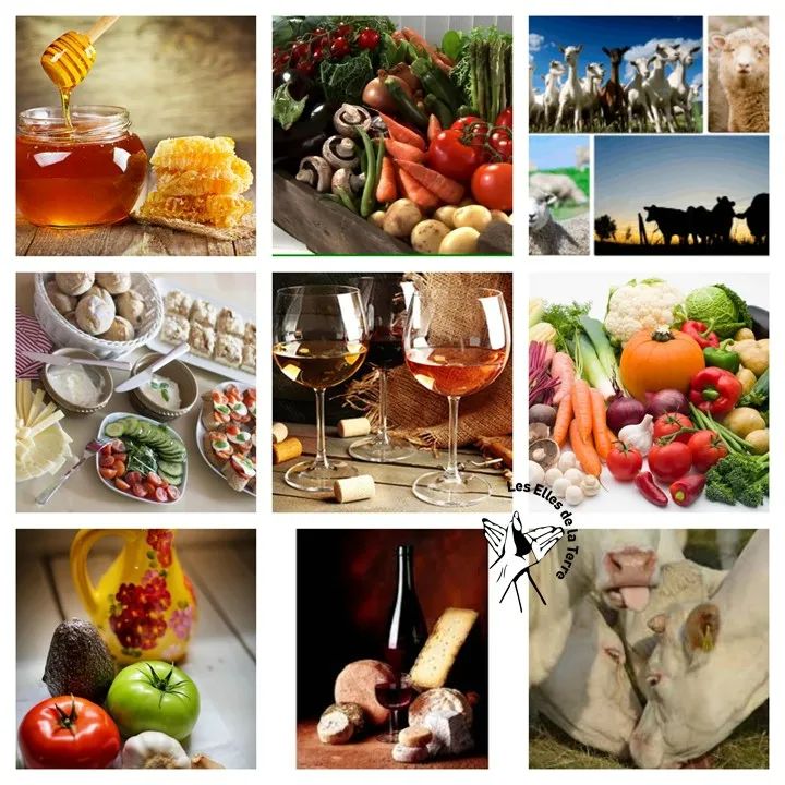 Les_Elles_Terre's tweet photo. 1/2 Être #LocaVore , c'est être responsable. C'est consommer et acheter des #ProduitsLocaux qui ont été produits à une faible distance de son domicile et par des #Productrices #Producteurs qui ont mis tout leur savoir-faire pour vous satisfaire avec des produits, 
#ComPositive https://t.co/QOhqL8p5rX
