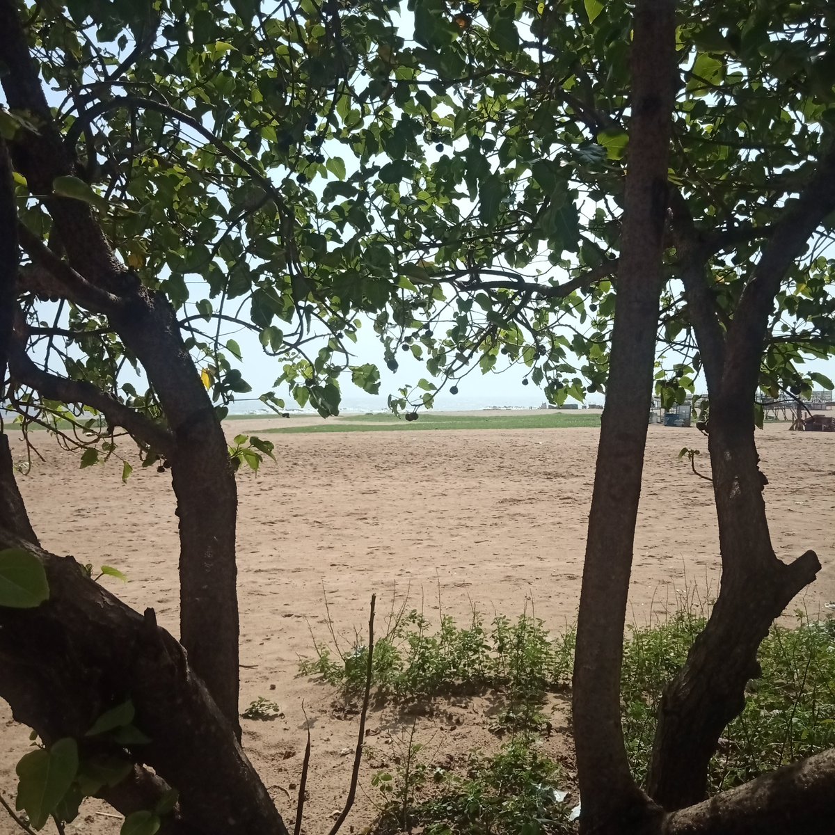 enterindia's tweet photo. #ChennaiRains and #TNRains finally turning yellow and green.

Hopeful of sunny days soon, so we can help affected people better.

https://t.co/t17Nc3T4MJ https://t.co/Xa9iw9nEVU