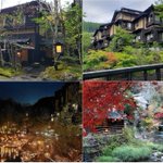 社畜旅畜のアルパカのツイート画像