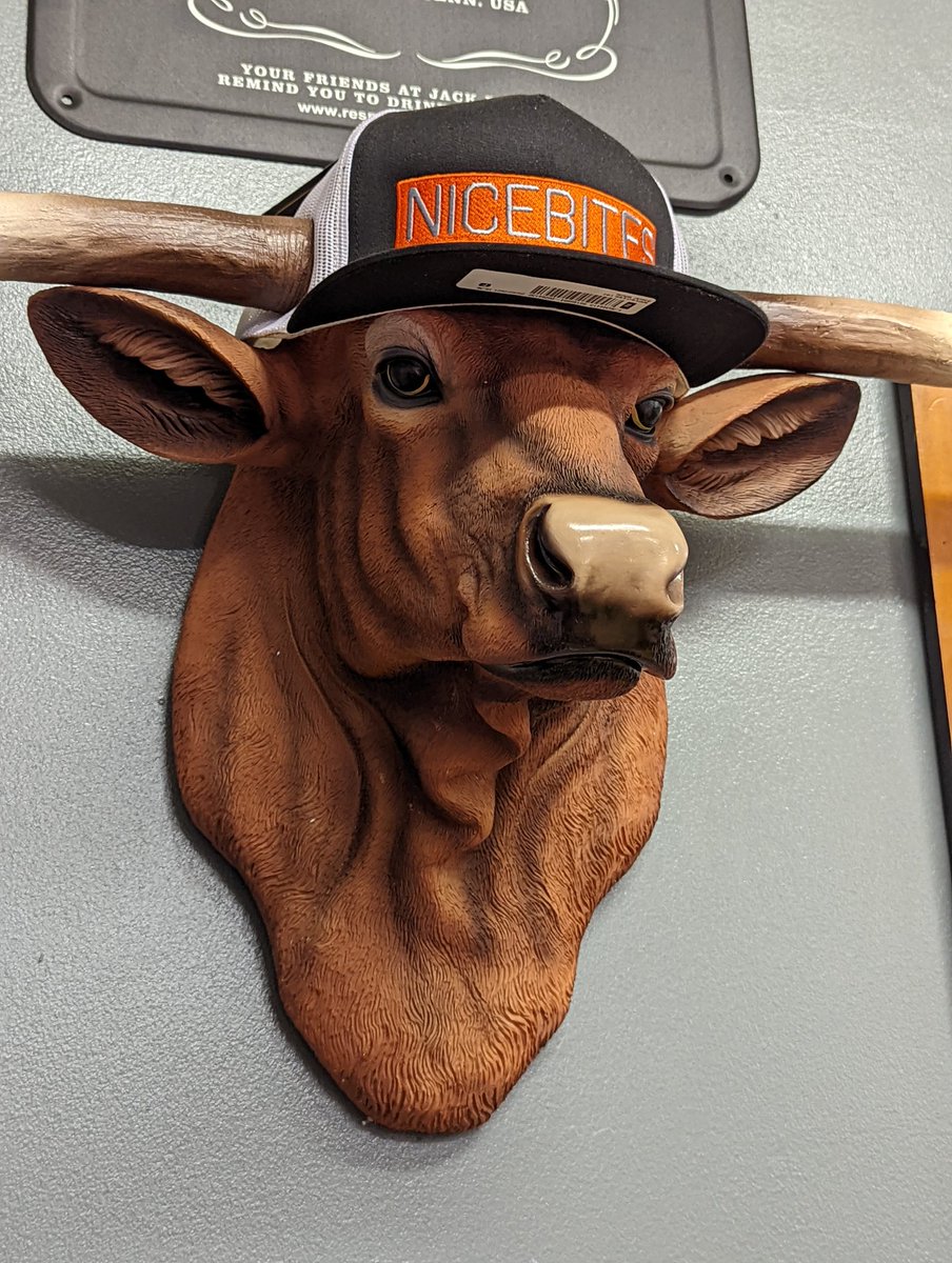 nearly 13 years of Shitchester tweet media