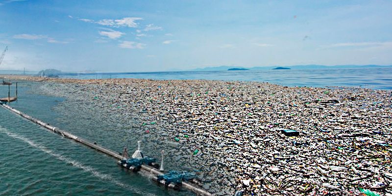 On June 2020, the sailboat of the NGO Ocean Voyages carried out one of the largest plastic cleanings at sea in history. Sailboat collects 103 tons of plastic in the Pacific.⛵
 A landfill that would be 3 times the size of France! 🗼
#TheOceanCleanup #OctopusSquad #NFTs
<a href="/opensea/">OpenSea</a>