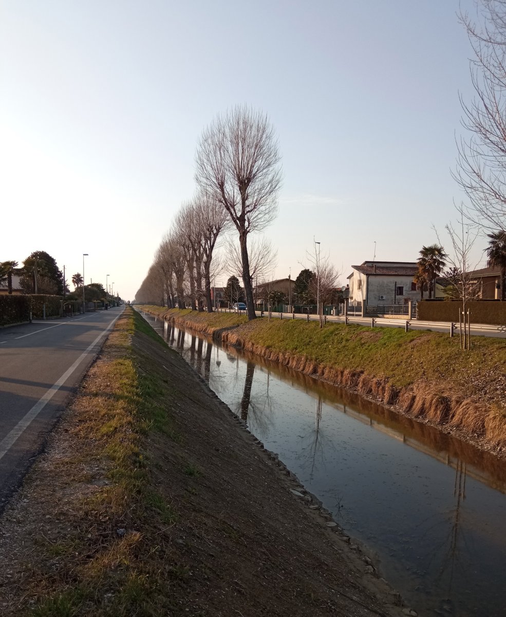 Ultimata la progettazione degli interventi il ripristino delle sponde e della sezione dello scolo Fiumicello nel comune di #piovedisacco e nei comuni di #brugine, #legnaro e #polverara.
I lavori partiranno nel mese di dicembre e prevedono la sistemazione dello scolo Fiumazzo