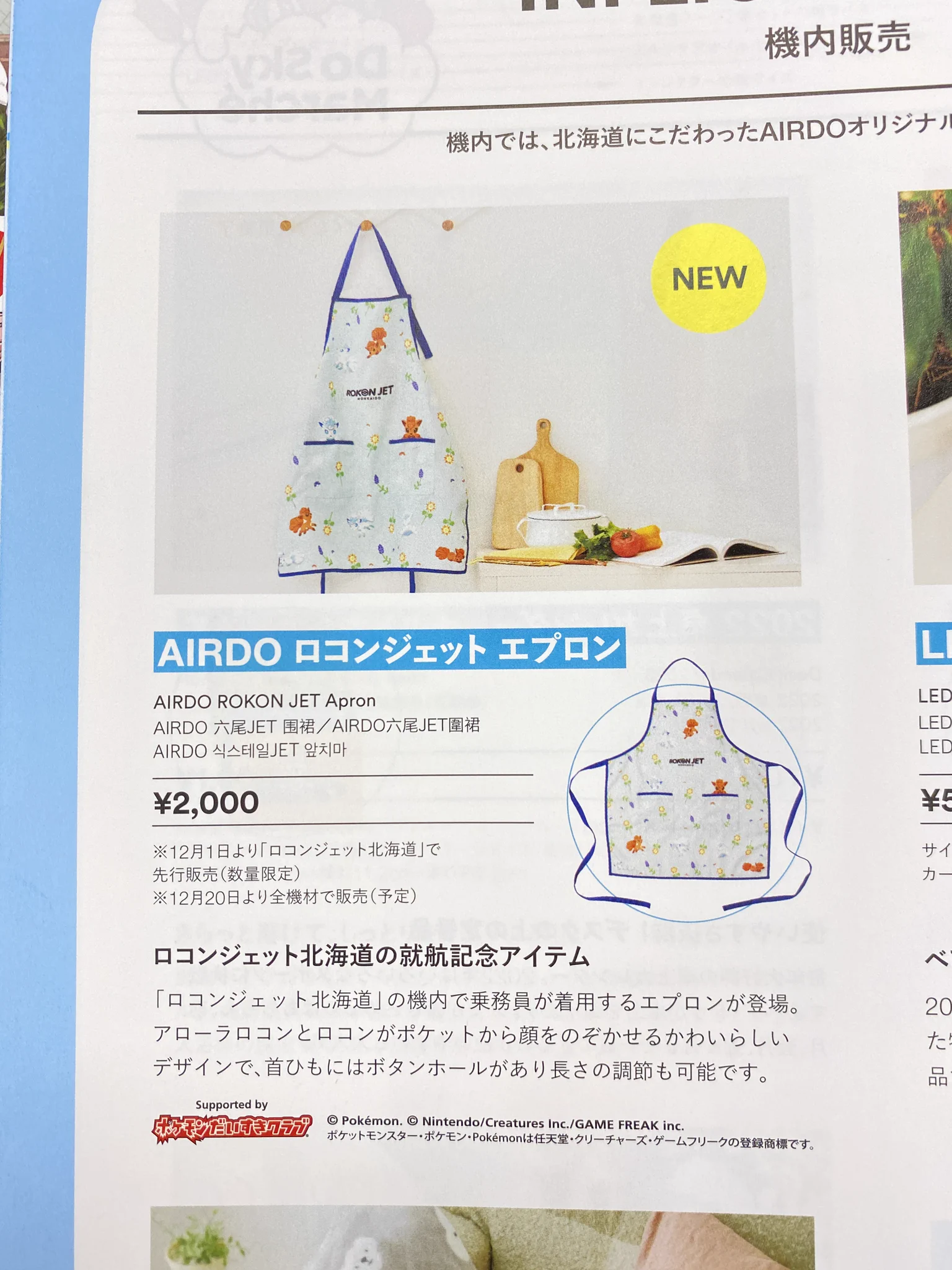 ポケモンだいすきクラブ編集部【公式】 on X: 