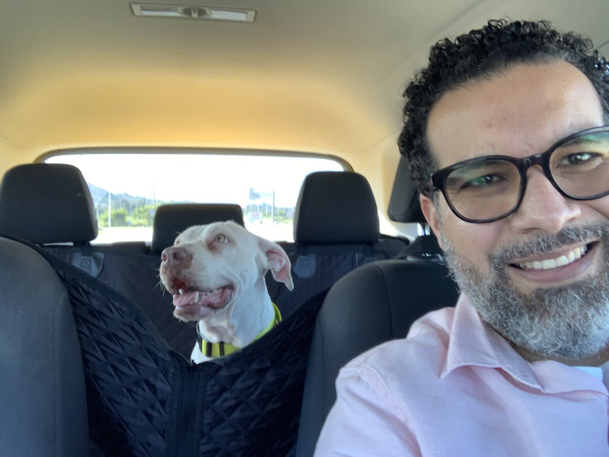 romarzan's tweet photo. La nombramos Bella…
Ayer fue a al veterinario, y más allá de los típicos parásitos de la barriguita, y los golpecitos q aún presenta, está muy bien de salud. Está en antibióticos y de muy buen ánimo. Aún la mantenemos en el balcón. Le encanta jugar con Sal 🐕. https://t.co/2DGfWVm42H