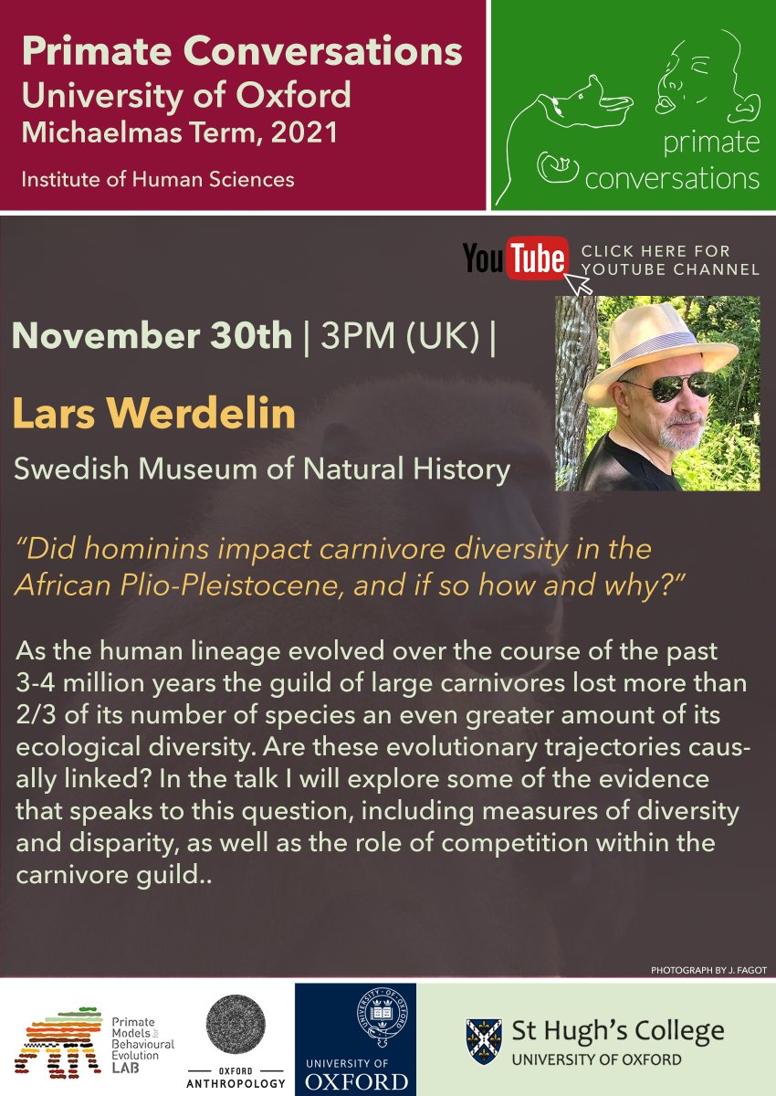 paleo_group's tweet photo. Join us TODAY at 3pm (UK time) as we welcome Professor Lars Werdelin for our final Primate Conversations of the term! 
YouTube link: https://t.co/H6LNxNLez1

@naturhistoriska @oxford_anthro @OxfordBioAnth @oxsocsci https://t.co/YXzY7ir6Ax