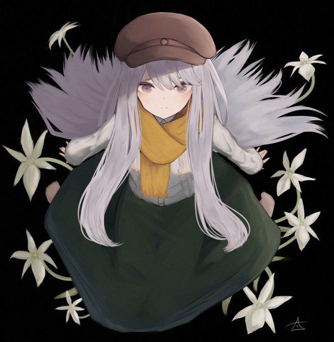 アングレカム✾ 