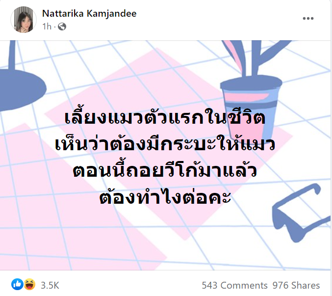 ชอบอะไรแบบนี้อะ55555555555555555555555