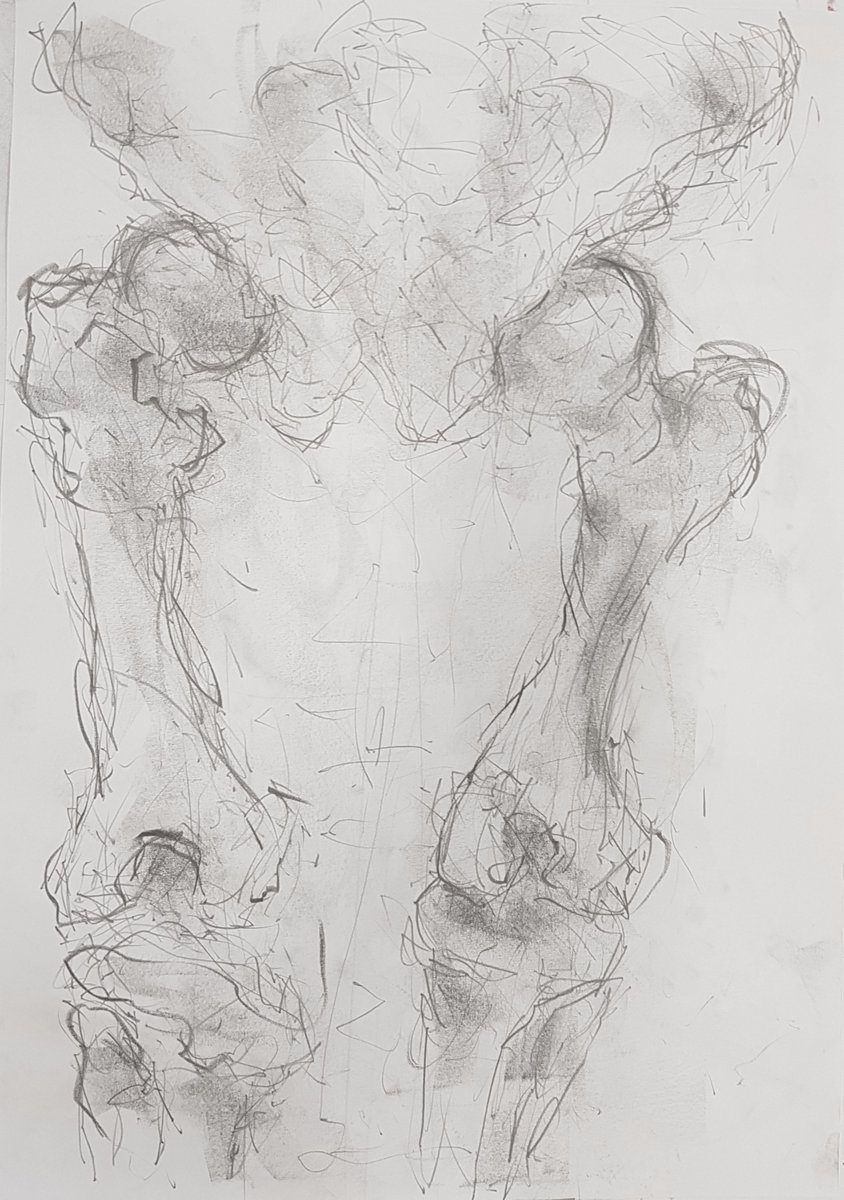 leonard_shapiro's tweet photo. Pre-covid UCT #HVOD workshop for 2nd year UCT medical students. In this photo, day 3 of the workshop.
Well-observed parts of the skeleton in this drawing. https://t.co/7BoYAGWSWk
