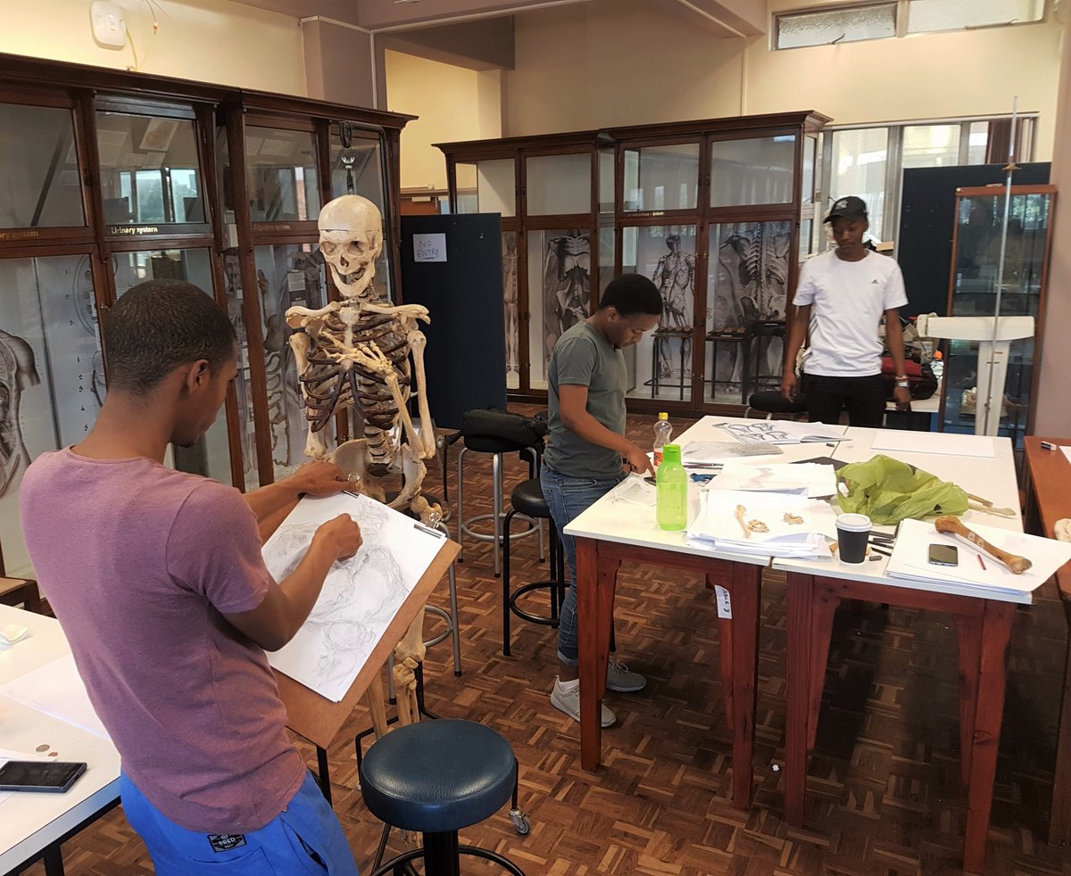 leonard_shapiro's tweet photo. Pre-covid UCT #HVOD workshop for 2nd year UCT medical students. In this photo, day 3 of the workshop.
Well-observed parts of the skeleton in this drawing. https://t.co/7BoYAGWSWk