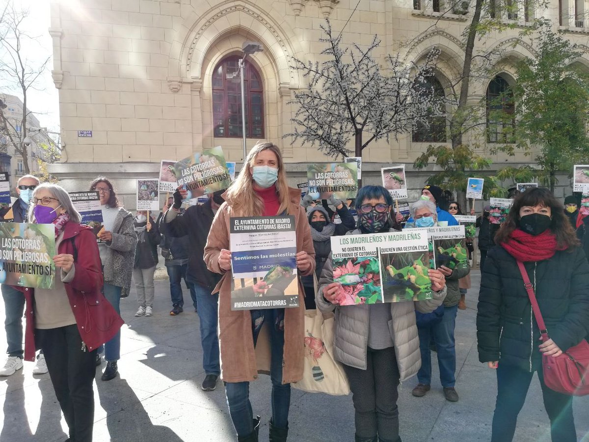 AmandaRomero_G's tweet photo. En la puerta de Cibeles decenas de personas se manifiestan ahora mismo contra el tiroteo de cotorras que está llevando a cabo el Ayuntamiento de Madrid.
Gracias a quienes habéis venido a reclamarle a Almeida más ética, más seriedad, menos tiros y más medidas del s.XXI. 💚 https://t.co/WVXeRsXrxL
