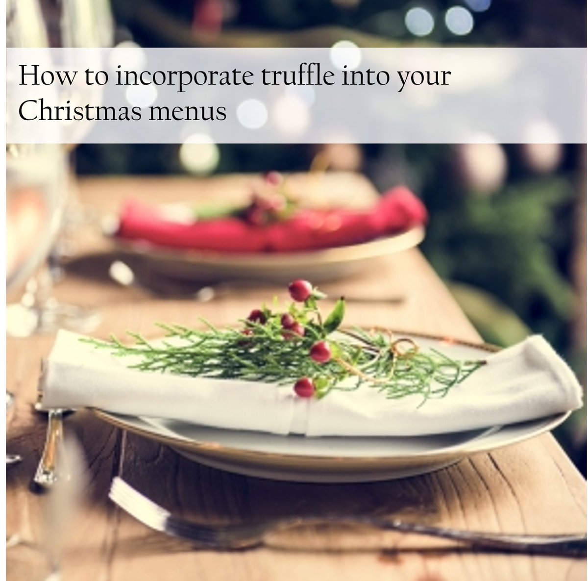 WTAtruffles's tweet photo. Check out our latest blog post for some festive foodie inspiration! https://t.co/LPImf0dX81

#freshtruffle #truffle #christmasfood #dinnerparty #christmas #newyear https://t.co/xiBfNJ44Ha