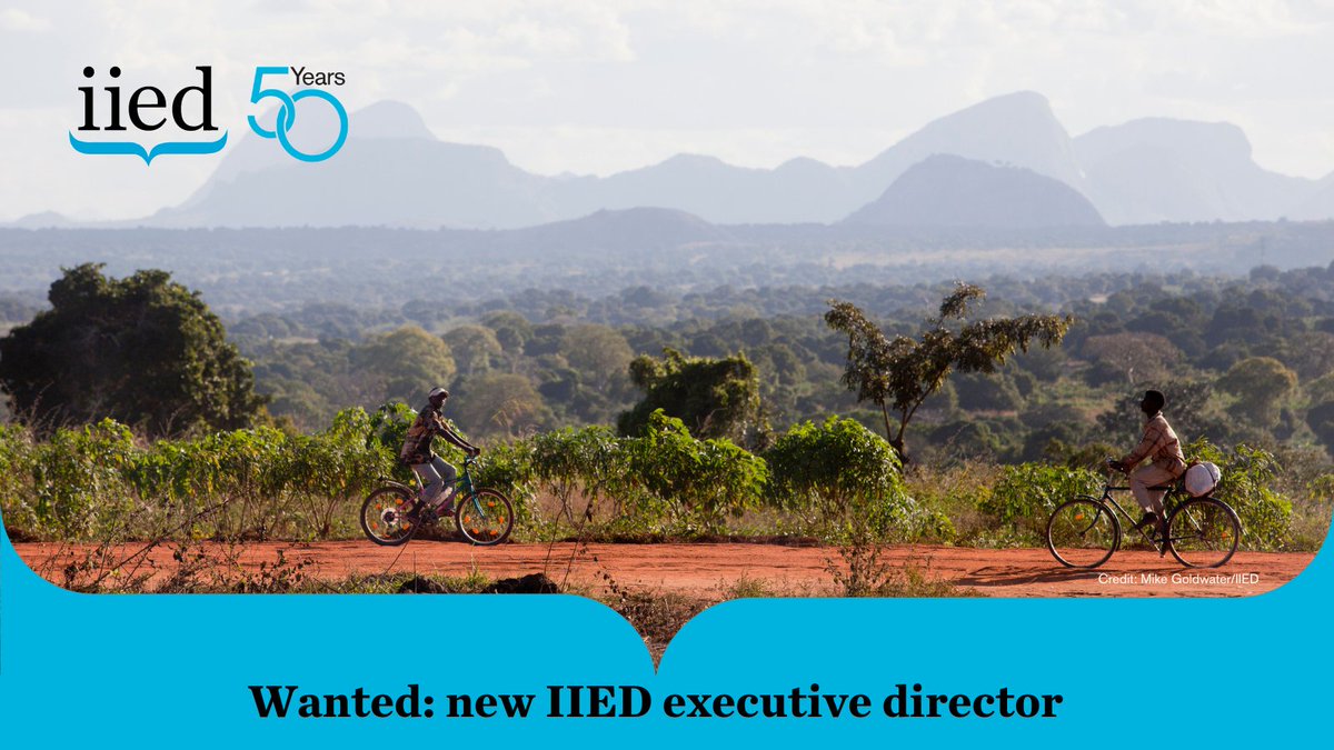 Wanted: new IIED executive director.