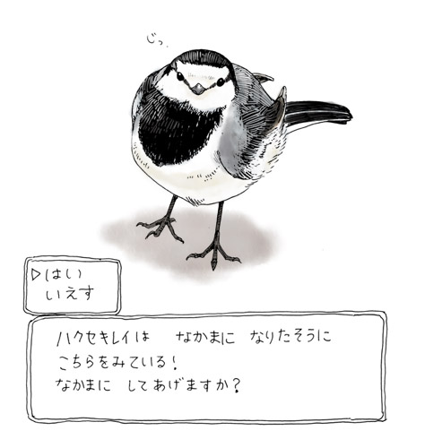 先日のコサギの絵で野鳥クラスタさんに少しフォローいただいた気がしてありがとうございます🪶気が向いたときに絵の上がるゆるふわアカウントですがフィーリングが合いましたらなにとぞ。鳥の絵があまりないので昔描いたハクセキレイとハトetc.の絵を置いておきますね 