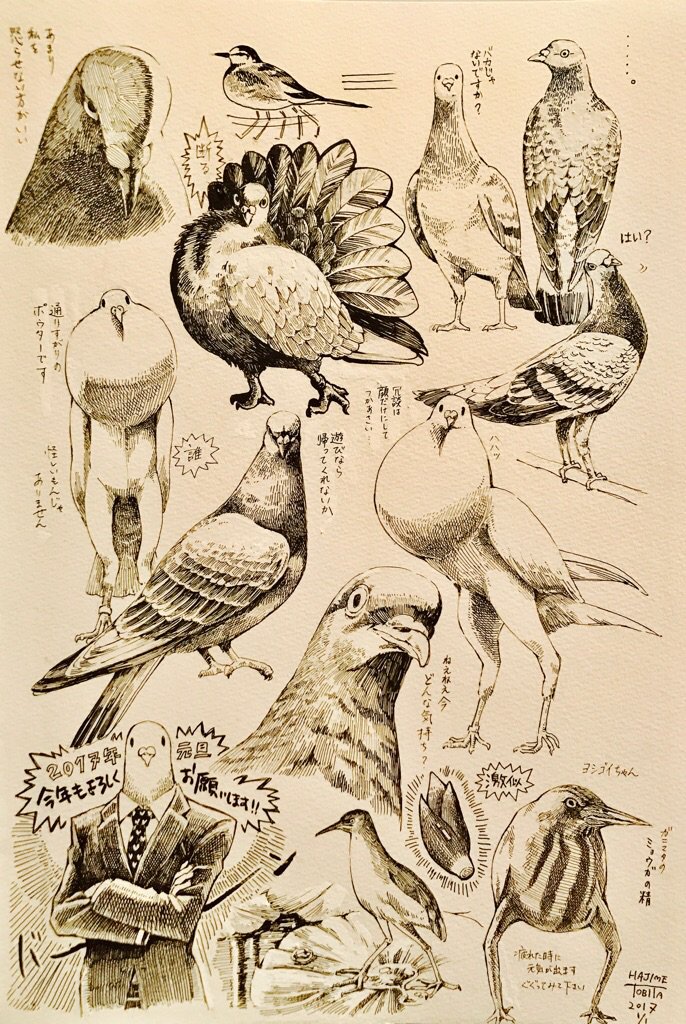 先日のコサギの絵で野鳥クラスタさんに少しフォローいただいた気がしてありがとうございます🪶気が向いたときに絵の上がるゆるふわアカウントですがフィーリングが合いましたらなにとぞ。鳥の絵があまりないので昔描いたハクセキレイとハトetc.の絵を置いておきますね 