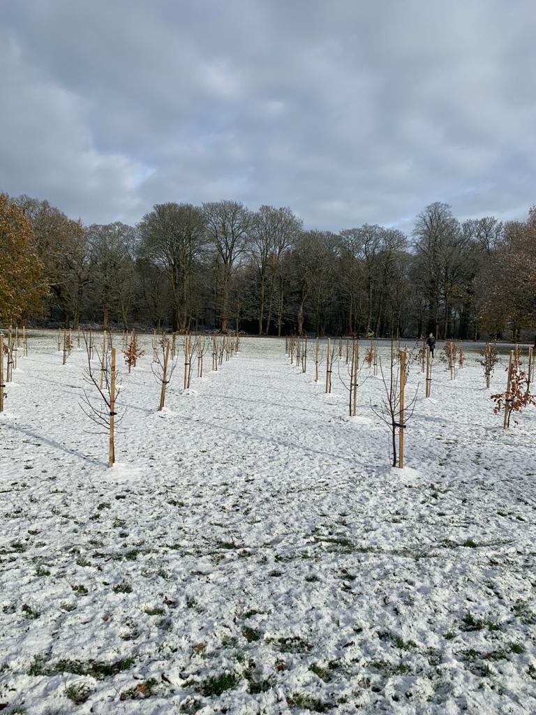 LoveSolihull's tweet photo. Trees planted in Dorridge Park as part of a very special project with Soroptimist International Solihull &amp; District Club! Watch this space for more about the project.

#PlantingOurFuture #TreeProjects #NationalTreeWeek #DorridgePark #Solihull #Plantingforourfuture https://t.co/dU2id1vj0n