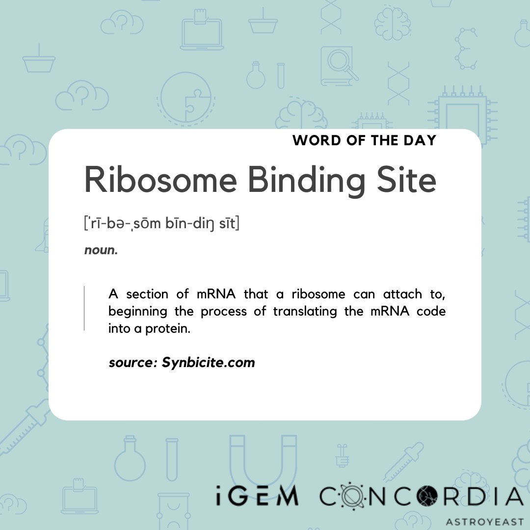 #Wordoftheday #RIbosomeBindingSite