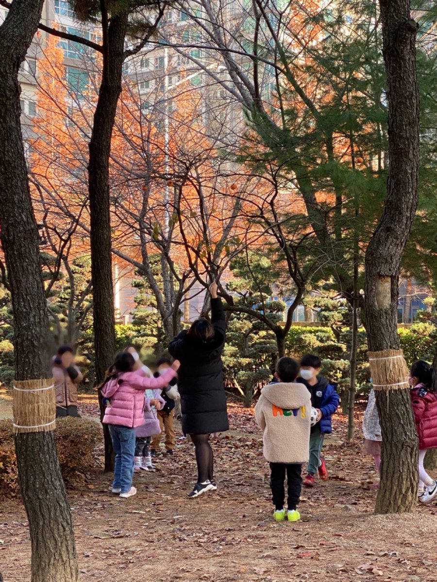 ms_hannab's tweet image. Questioning, inquiring, and learning from children’s everyday environments.#inquiry_based_learning The best way to encourage and engage children to dive into learning #pypchat