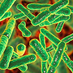 ISSalute_it's tweet photo. Uno stile di vita sano, un esercizio fisico costante, una dieta equilibrata influiscono positivamente sullo stato di salute della #floraintestinale, detta anche #microbiota intestinale. A cosa serve e quali benefici apporta alla salute il microbiota? 👉https://t.co/oyIWzeltwU https://t.co/8kMvUIke0c