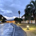 ツイートに含まれる画像