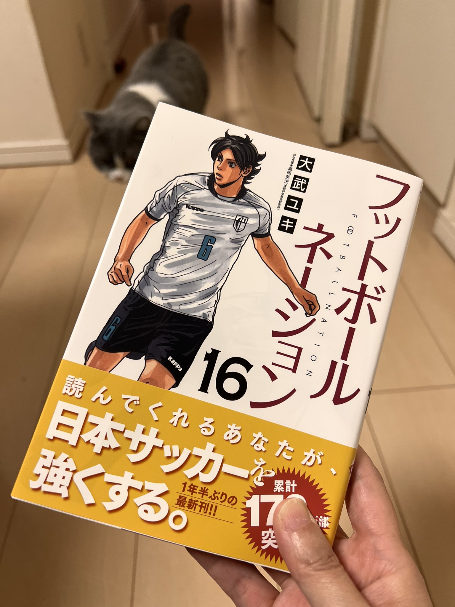 フットボールネーション 1~19巻 漫画 全巻セット 大武ユキ フットボールネーション 1~19巻 漫画 全巻セット 大武ユキ