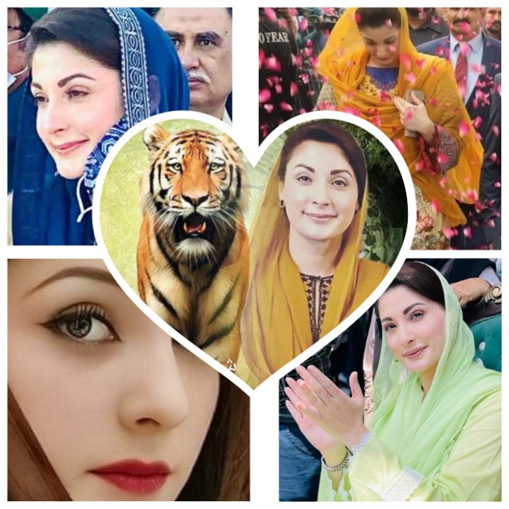 L599💞
@92hfz1
@Syco41
@A_tta1
<a href="/0rafzl/">روبینہ افضل ملک</a>
@OBintS1
<a href="/0rafzl/">روبینہ افضل ملک</a>
@0Ayis
@3fgy2
<a href="/0Ain_/">𝑨𝒊𝒏𝒂𝒎 𝒗𝒊𝒆𝒘'𝒔</a>
<a href="/49zyui/">عبدالروف کمبوہ</a>
@B2iR2
<a href="/2_1Ij/">Farouk</a>
<a href="/4lf_k/">abbas</a>
@Ajk_99z
@Bu_Af1
@k_3447
<a href="/qas58/">Samina Qasim.</a>
<a href="/m_likg/">Malik Anas Awan</a>
<a href="/riyy60/">Pakistan 1st</a>
@sjk_63
<a href="/u_raj0/">Usama RajpOot PMLN🦁❤️</a>
<a href="/zia1S/">سیّدضیاءالقمر</a>
<a href="/ZGK07/">Bashir Bin Ghaffar</a>
<a href="/pirsq3/">Peer Saqlain yousaf (PML)N</a>
<a href="/70SJD/">SA malik</a>
<a href="/R_nisb/">Ranin</a>
@sjk_63
@aimk01
<a href="/67_mrb/">R. 🔪</a>
@UK628
@45fari
<a href="/AiniKL/">Anila Komal</a>
@tq_sd1
@Saj080
@PMLN_D
❤