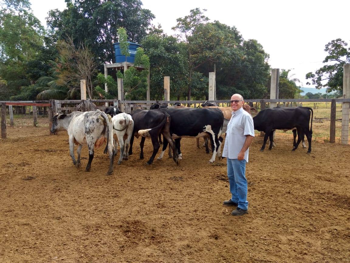 NorteAgroTO's tweet photo. 🐮🐄🥛 #BaldeCheio Aumento da produtividade e redução de custos animam o produtor rural, diz médico veterinário, que destaca importância da assistência técnica. 📱🎙️📻
➡️ Ouça: https://t.co/Rb3aZX9DCE
#NorteAgroTO #pecuária #leite #pecuárialeiteira #produçãodeleite #milk https://t.co/hBnLxoAOCn