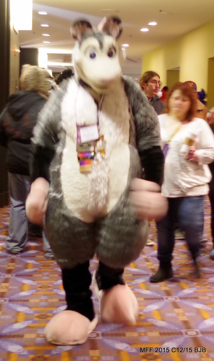 THE_BJBUTTONS's tweet photo. Petagree Husky at #MFF2015 #fursuit #fursuiter #fursuiting https://t.co/3g9yqZ4Xrd