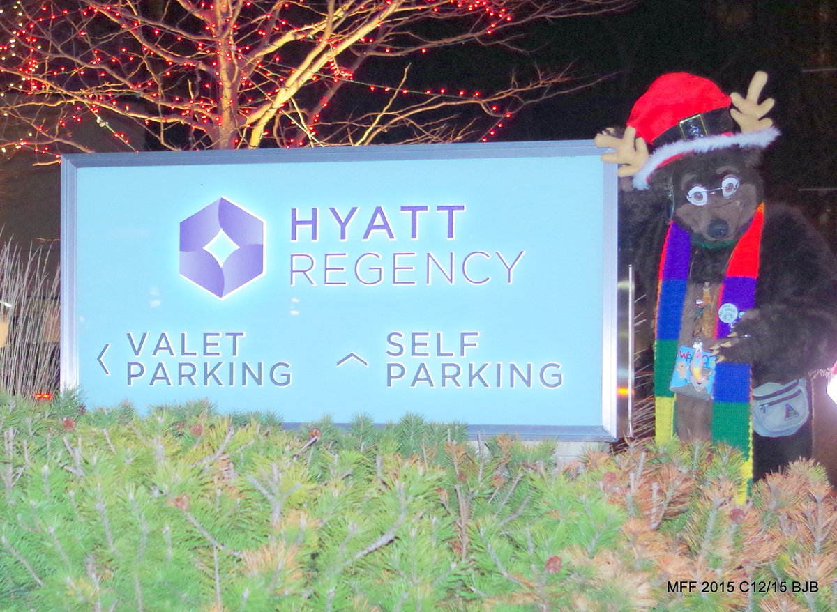 THE_BJBUTTONS's tweet photo. #Waldolf outside the main entrance standing next to the #HyattOhare sign at #MFF2015 #fursuit #fursuiter #fursuiting #bear #costume https://t.co/AGIDDnC4fJ