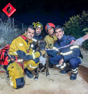 BomberosDipuALC's tweet photo. Anoche en Orihuela hicimos el rescate de un perro en una balsa de riego, el animal estuvo al límite de sus fuerzas y se puso muy alegre cuando bajamos a por el, y nosotros también de rescatarlo 🐶🚒❤️ ¡¡¡
#bomberos #cpba #enaccion https://t.co/Go5A8Kfyx0