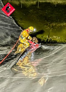 BomberosDipuALC's tweet photo. Anoche en Orihuela hicimos el rescate de un perro en una balsa de riego, el animal estuvo al límite de sus fuerzas y se puso muy alegre cuando bajamos a por el, y nosotros también de rescatarlo 🐶🚒❤️ ¡¡¡
#bomberos #cpba #enaccion https://t.co/Go5A8Kfyx0