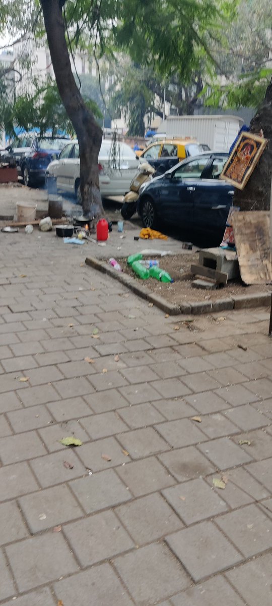 Val_Shah30's tweet photo. @mybmcWardA They are back in less than 24 hrs https://t.co/QeV48nAGXj