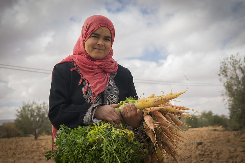 With the evolution of #gender research and the ever-increasing body of high-quality literature on gender and its relationship to nutrition, here are top 10 reads that provide a road map of this evolution: bit.ly/3o5tYEW #CGIAR4Nutrition @nutritionwin @HMalapit @CGIAR