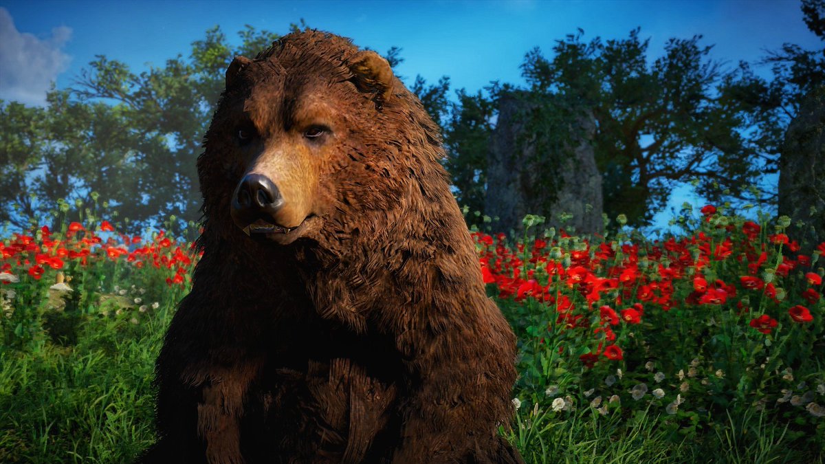 I hope you all have a beary good Tuesday!! 🐻

#ACValhalla #Bear #Virtualphotography #virtualwildlife #AssassinsCreedValhalla #vgpunite #ps4share #gamephotomode #photomode