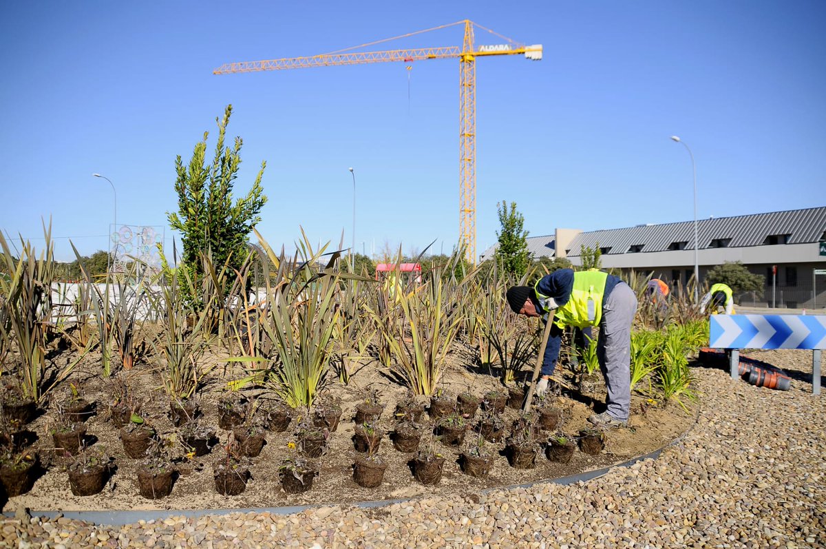 🌳Iniciamos la mejora ornamental de la 𝐫𝐨𝐭𝐨𝐧𝐝𝐚 𝐝𝐞 𝐥𝐨𝐬 𝐅𝐫𝐞𝐬𝐧𝐨𝐬 tras realizar una conexión a la red de agua para  los 𝐚𝐫𝐛𝐮𝐬𝐭𝐨𝐬 y 𝐦𝐚𝐝𝐫𝐨ñ𝐨𝐬 que estamos poniendo. 

🐻El oso verde seguirá siendo un símbolo del municipio, pero estará mejor acompañado🟢