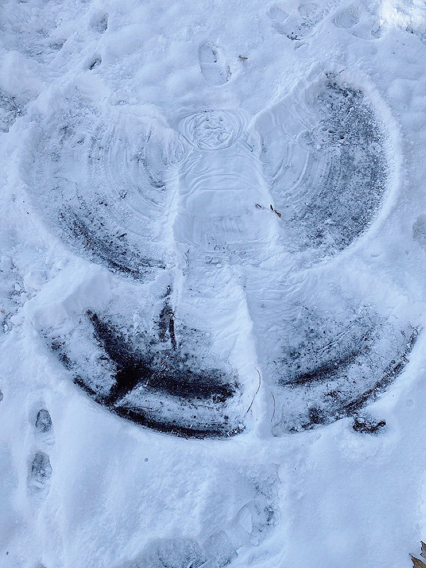 CorrendaDowney's tweet photo. Our Knowledge Building Circle looked a little different on the first snowfall of the school year but, joyfully, Student Experts continued our inquiries in the Learning Garden with new curiosities, wonders, and... snow angels ☃️ #AssetBased #InquiryBasedLearning #EnvironInquiry https://t.co/ljrRDPGpzn