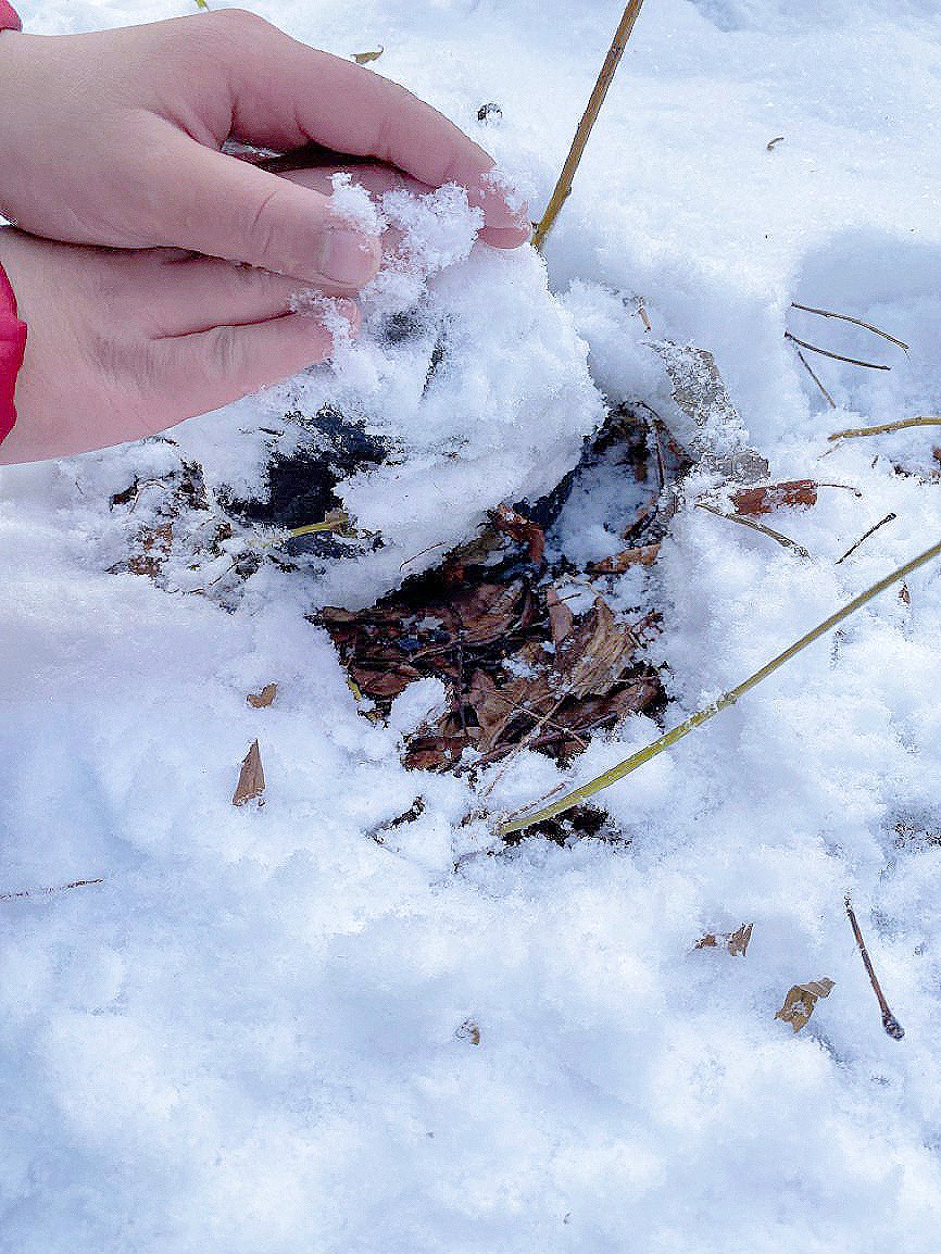 CorrendaDowney's tweet photo. Our Knowledge Building Circle looked a little different on the first snowfall of the school year but, joyfully, Student Experts continued our inquiries in the Learning Garden with new curiosities, wonders, and... snow angels ☃️ #AssetBased #InquiryBasedLearning #EnvironInquiry https://t.co/ljrRDPGpzn