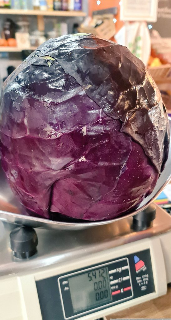 ExSqueezeMe84's tweet photo. Very high radiation near the fields...
5.4kg of cabbage in one cabbage.
Anybody keen to cook Red cabbage dish for a whole village?
#goodproduce
#lovecabbage https://t.co/oPxtFpv6ln