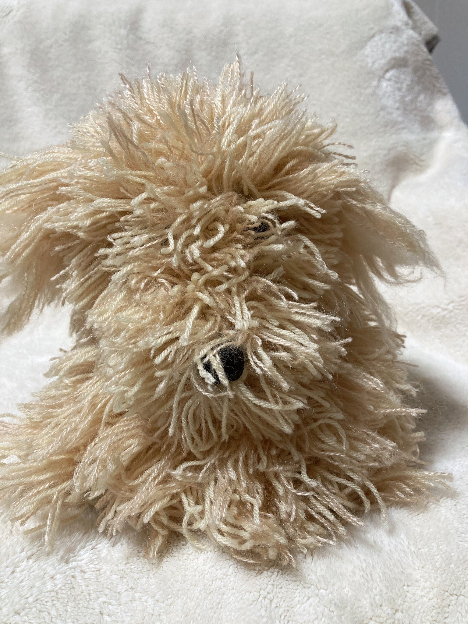 まろしゃん あみぐるみの植毛が終わりました 今現在 ダックスではなく違う犬種のようです この植毛した毛をスリッカーでとかし 毛をカットして完成になりますが まだまだ時間はかかりそうです あみぐるみ T Co U5kmnvxkqz Twitter