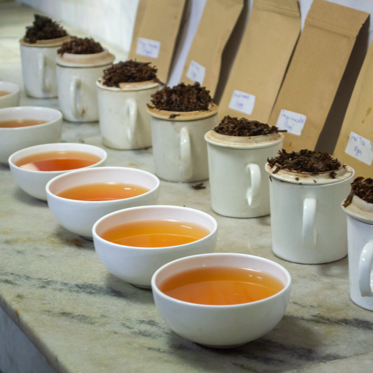 GopaldharaTeas's tweet photo. Fall in love with fall with the sweet taste of autumn flush tea. Let this tea take you on a journey to another world.
.
Try with our Autumn Flush Sample Packs.
available on our website
.
#AutumnFlush #Samplepacks #gopaldharatea #falltea #fall #wintertea #blacktea #oolong https://t.co/UfAF3rAJyv