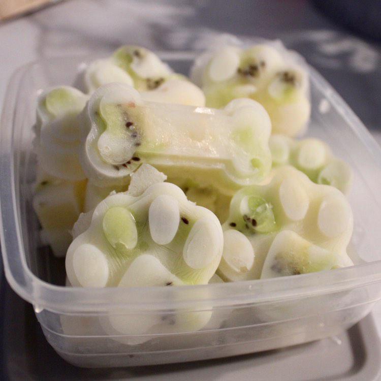 GreyhoundRobert's tweet photo. On the menu today are these digestive boosting kefir, kiwi and pineapple snacks! ๐ฅ๐๐ถ Packed full of probiotics as well as digestive enzymes, they are sure to help boost gut flora and promote healthy digestion! ๐ฝ
{Recipe below} #pupsicles #naturaldogtreats #dogtreats https://t.co/JyAhcfz2WV