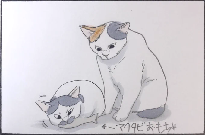 『パスじゃない』 