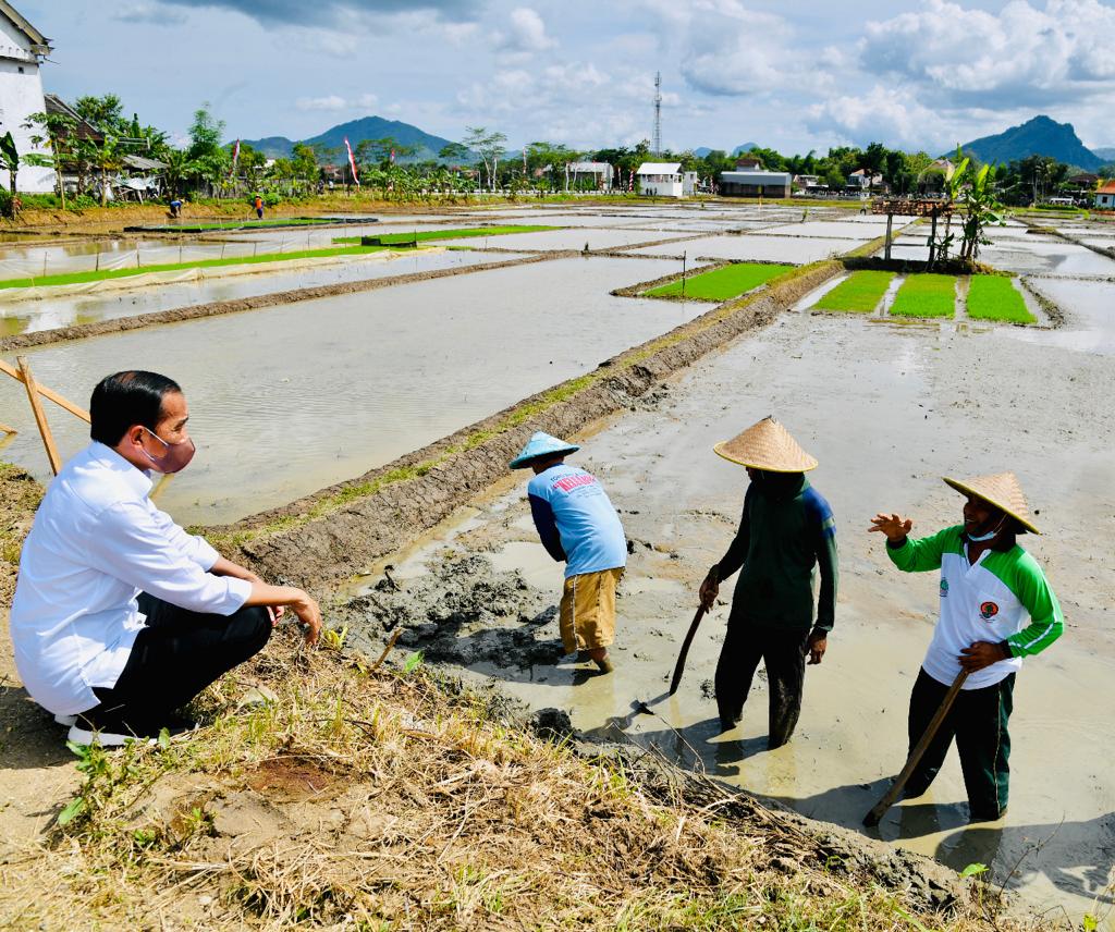 Mengobrol santai dengan para petani seusai menanam padi di Desa Buluagung, Kec. Karangan, Trenggalek, siang tadi. 

Jumlah petani semakin berkurang dan yang sekarang  banyak yang berlanjut usia. Mereka berharap, para petani muda bersemangat untuk ikut dalam sektor pertanian.