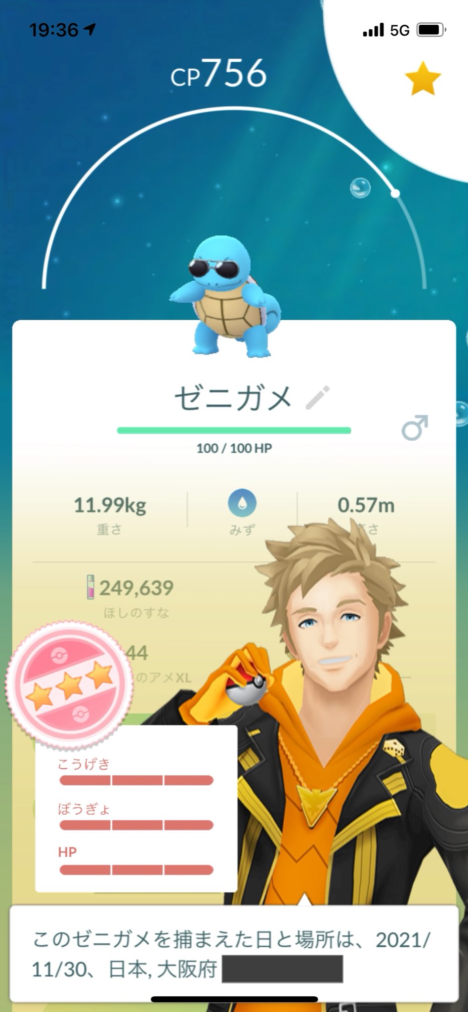 サングラスゼニガメ Twitter Search Twitter