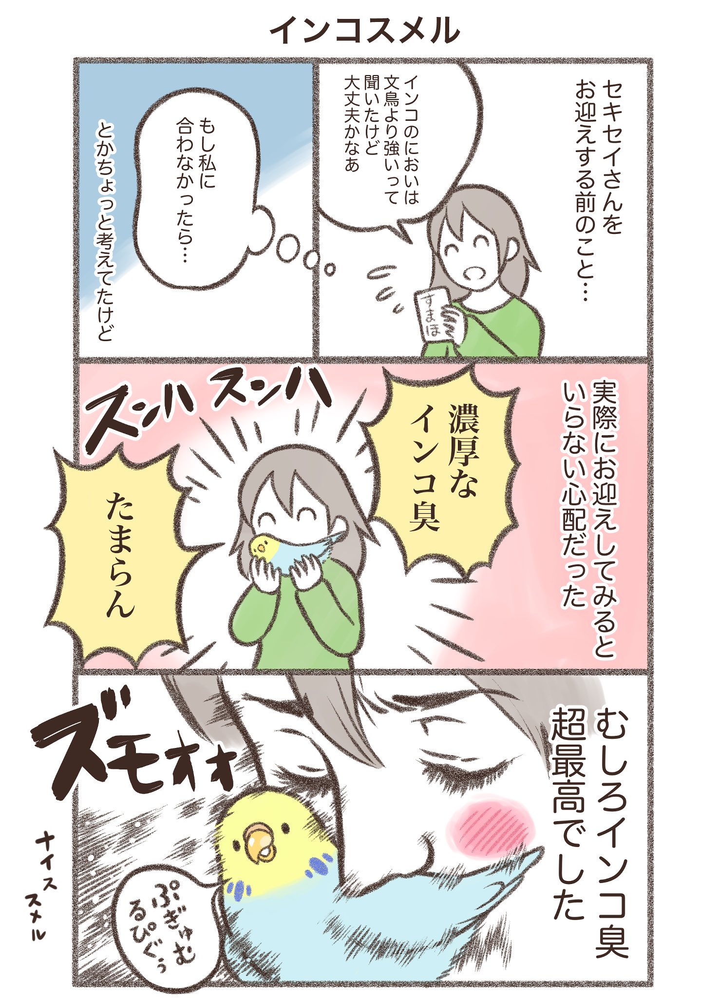 鳥野ニーナ マンガ連載中 マンガ インコスメル インコのかおりは最高 特に首の後ろあたりが1番におって最高 おすすめの場所があれば教えてください セキセイインコ 漫画が読めるハッシュタグ T Co J8qguveol9 Twitter