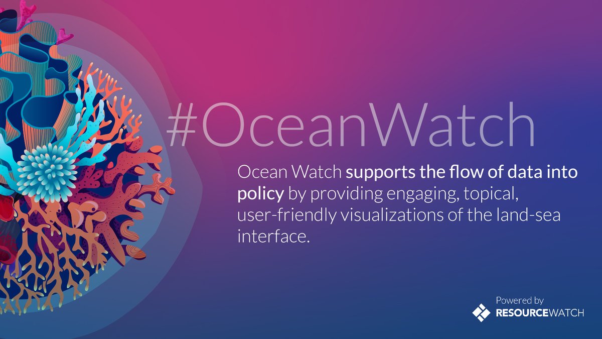 WRI Ocean tweet media